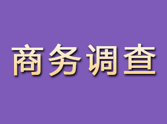 磁县商务调查